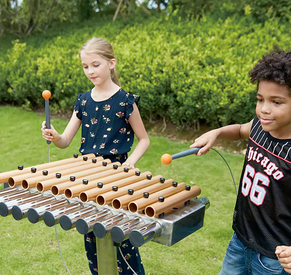 কাস্টম থিম